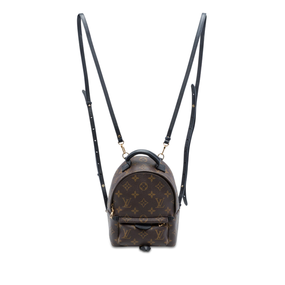 Pre-Loved Louis Vuitton Monogram Mini Palm Springs